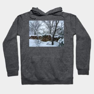 Winter Wall Hoodie